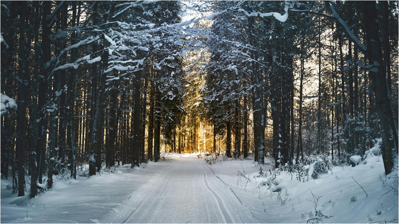 準備迎小雪…醫揭「3生活模式」祛寒暖身！