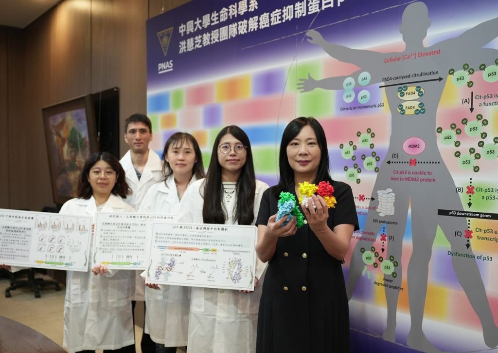 抑癌蛋白p53被關機 興大有解