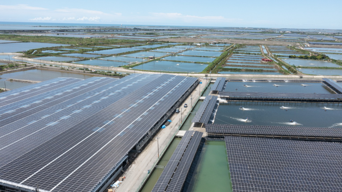 【能源困境2-1】光電修法通過　環評加嚴「致命一擊」！綠電占比20%目標恐提早跳票